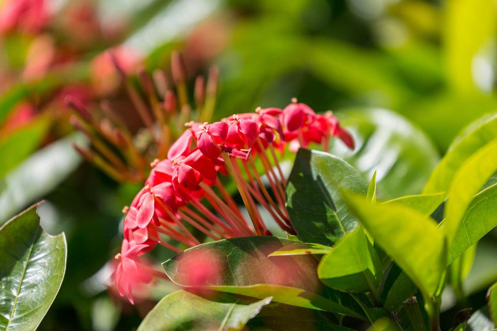 Courtyard By Marriott Waikiki Beach Honolulu Esterno foto