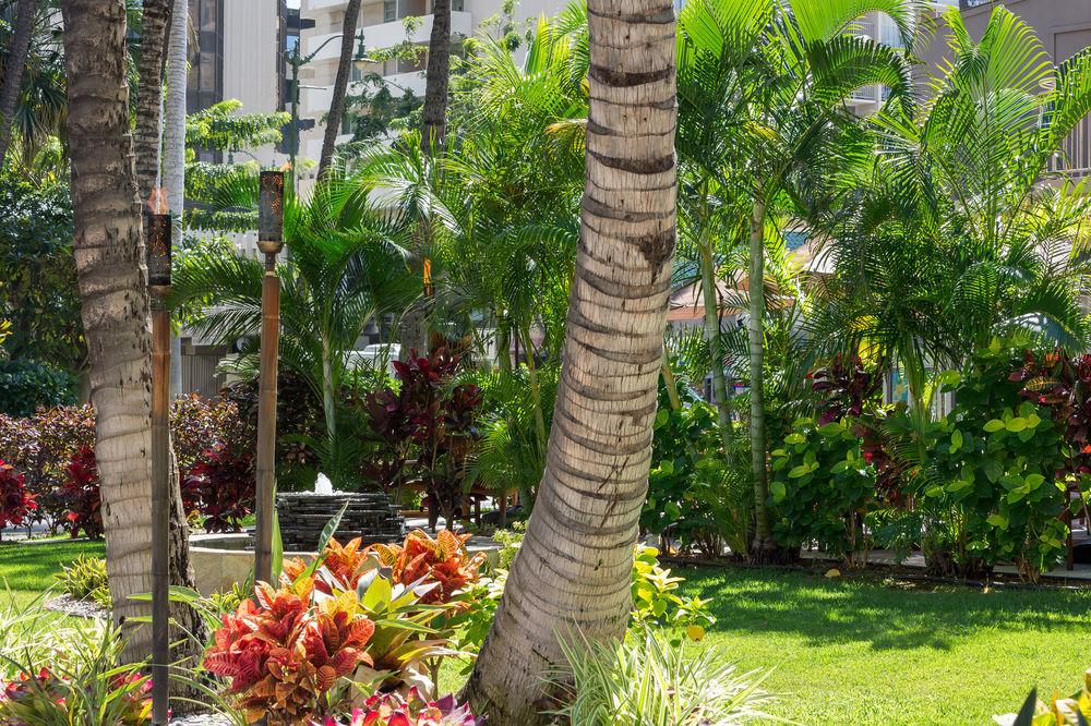 Courtyard By Marriott Waikiki Beach Honolulu Esterno foto